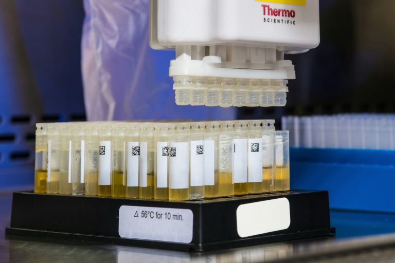 How to Read and Interpret Paternity Test Results